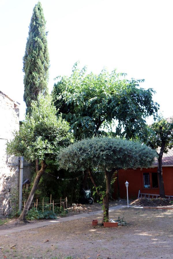 La maison du soleil Vauvert Extérieur photo